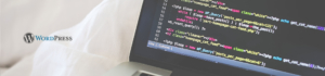 wordpress, hanover, wordpress hanover, wordpress developer, developer, wordpress web developer, wordpress developer, wordpress programmer, programmer
